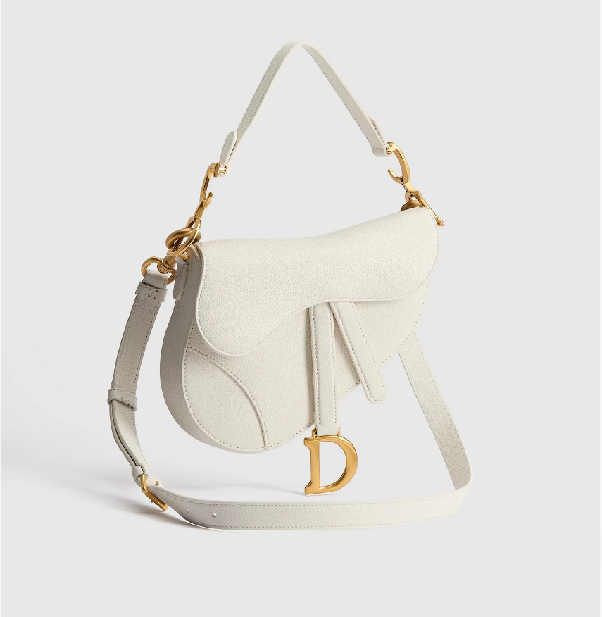 DIOR SADDLE BAG