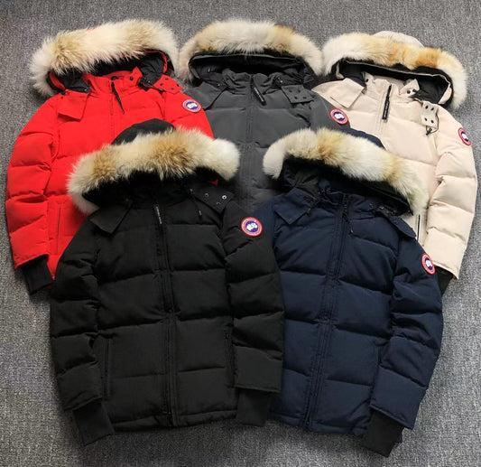 GIACCA CANADA GOOSE