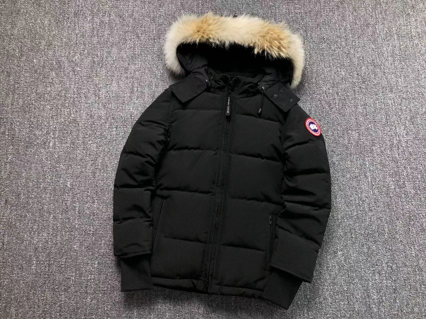 GIACCA CANADA GOOSE