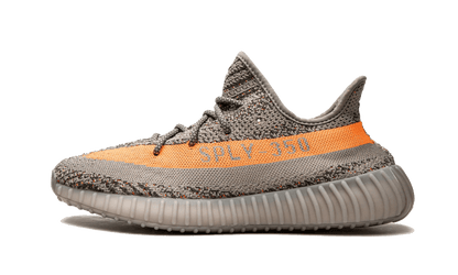 Beluga Reflective