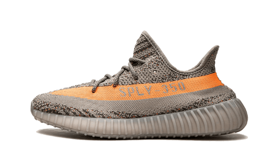 Beluga Reflective