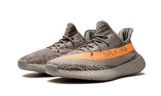 Beluga Reflective