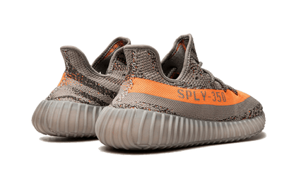Beluga Reflective