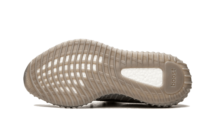 Beluga Reflective