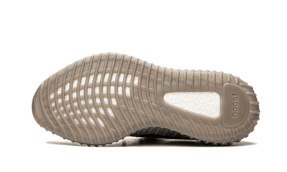 Beluga Reflective