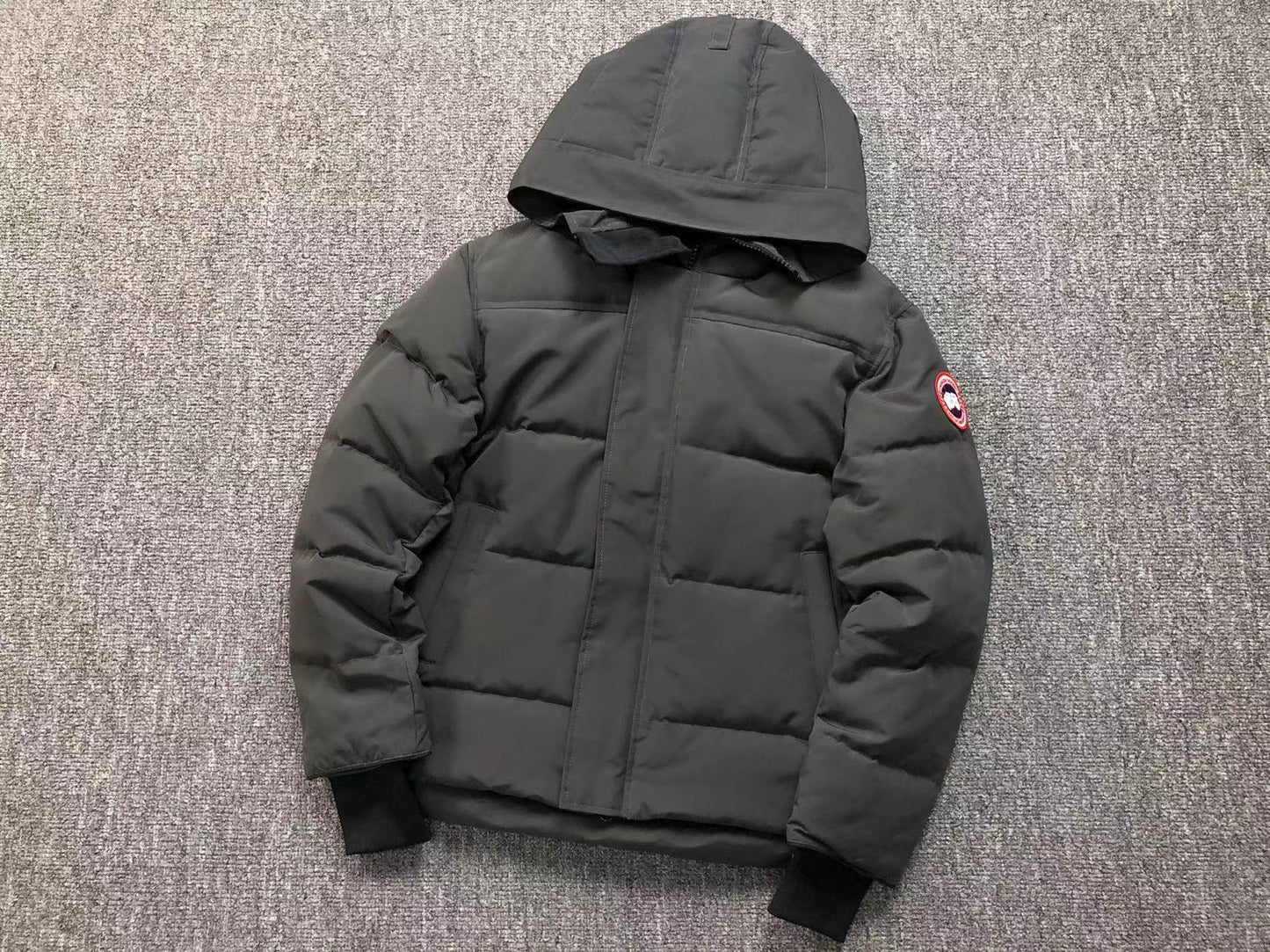 GIACCA CANADA GOOSE