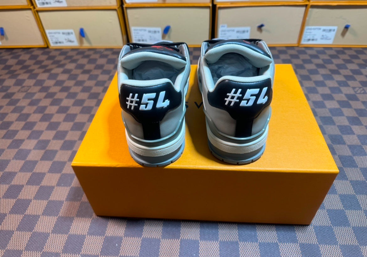 LV TRAINER