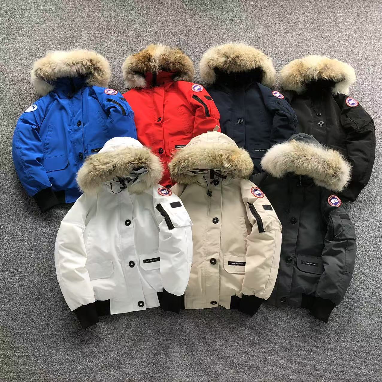 GIACCA CANADA GOOSE