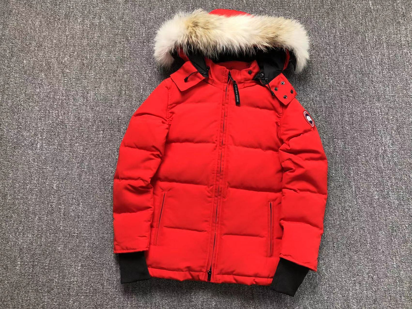 GIACCA CANADA GOOSE