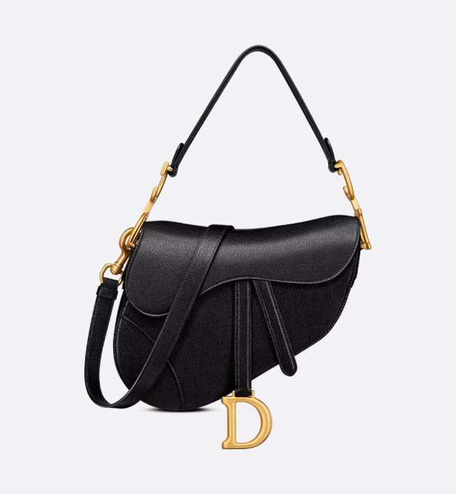 DIOR SADDLE BAG